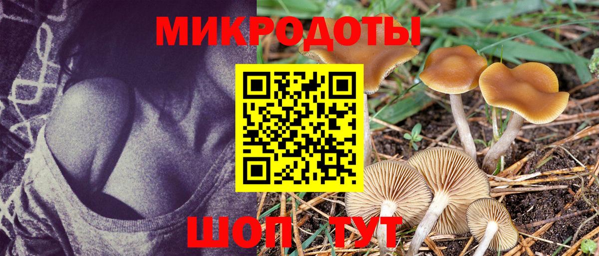 как найти наркотики  Галлюциногенные грибы прущие грибы  Вход с VPN  Волоколамск 